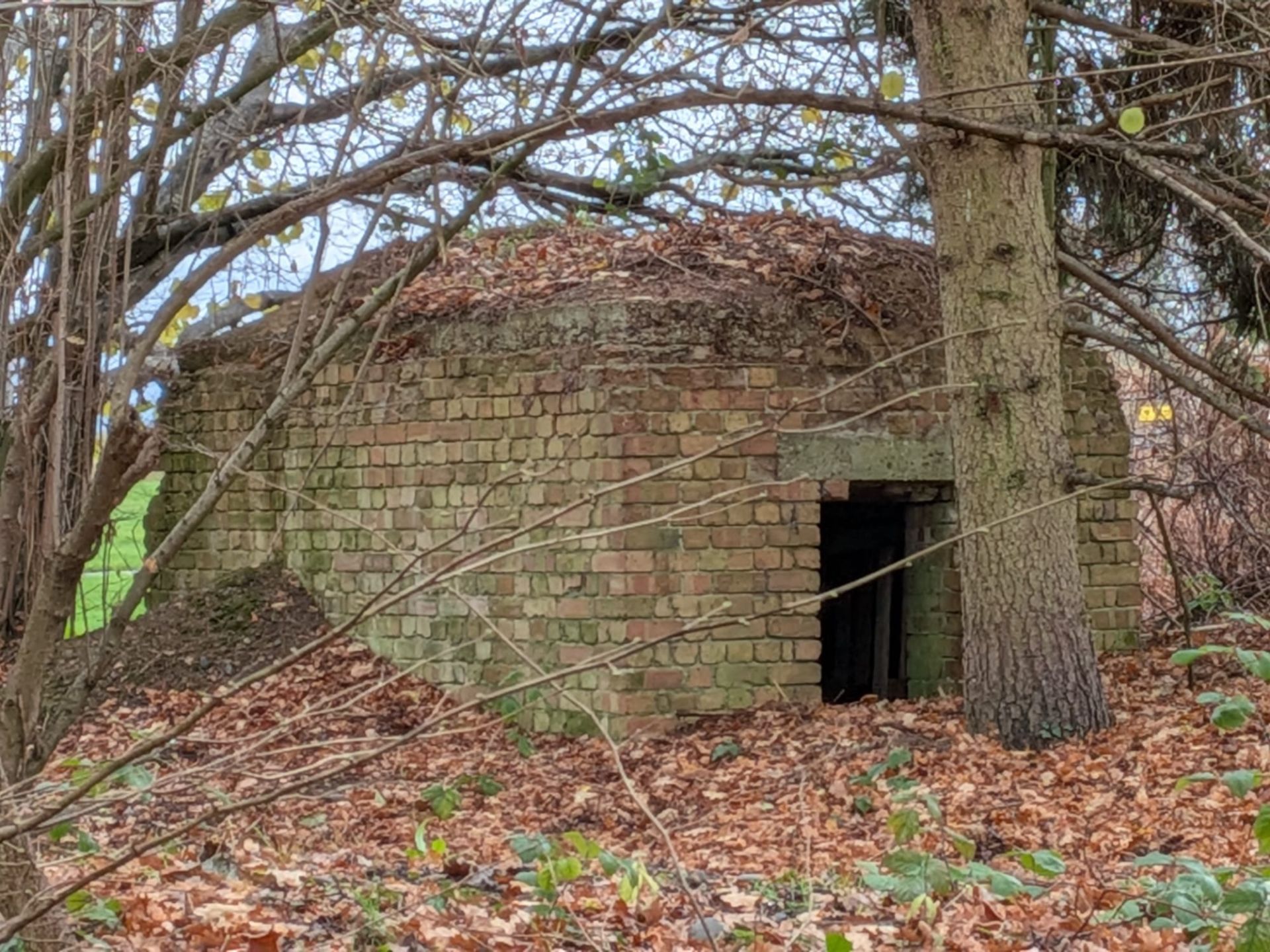 Mystery bunker